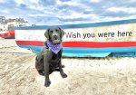 IMG_8307.jpeg