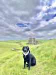 IMG_8380.jpeg