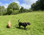 IMG_8436.jpeg