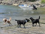 IMG_8875.jpeg
