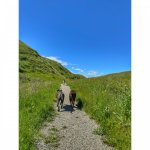IMG_2898.jpeg