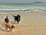 IMG_8899.jpeg