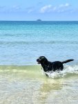 IMG_9327.jpeg