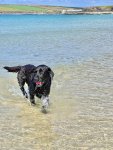 IMG_9365.jpeg