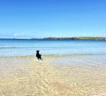 IMG_9312.jpeg