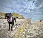 IMG_9461.jpeg