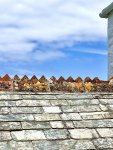 IMG_9661.jpeg