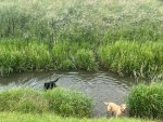 IMG_8113.jpeg