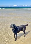 IMG_9733.jpeg