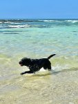 IMG_9768.jpeg