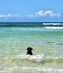 IMG_9758.jpeg