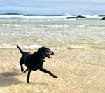 IMG_9827.jpeg