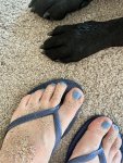 IMG_9884.jpeg