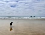 IMG_9938.jpeg