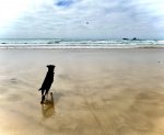 IMG_9936.jpeg