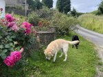 IMG_0014.jpeg