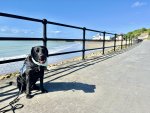 IMG_0075.jpeg