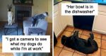 1719979633706.jpeg