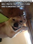 1720076527527.jpeg
