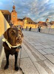 IMG_0109.jpeg