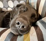 IMG_0141.jpeg