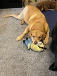 IMG_3329.jpeg