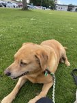 IMG_3355.jpeg