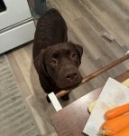 IMG_3406.jpeg