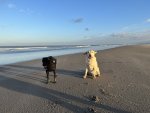 IMG_0878.jpeg
