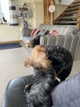 IMG_1097.jpeg