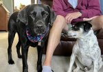 IMG_1405.jpeg