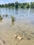 IMG_0169.jpeg