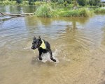IMG_0177.jpeg