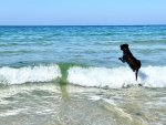 IMG_3788.jpeg