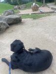 IMG_7398.jpeg