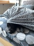 IMG_0181.jpeg