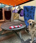 IMG_0394.jpeg