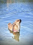 IMG_0221.jpeg