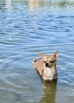 IMG_0213.jpeg