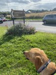 IMG_3318.jpeg
