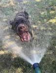 IMG_5610.jpeg