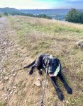 IMG_0267.jpeg