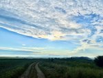 IMG_0264.jpeg