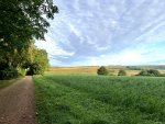 IMG_0263.jpeg