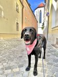 IMG_0339.jpeg