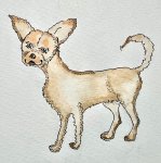 IMG_0332.jpeg
