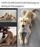 1725774349291.jpeg