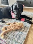 IMG_0552.jpeg