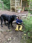 IMG_4350.jpeg