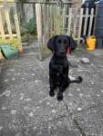 IMG_2926.jpeg